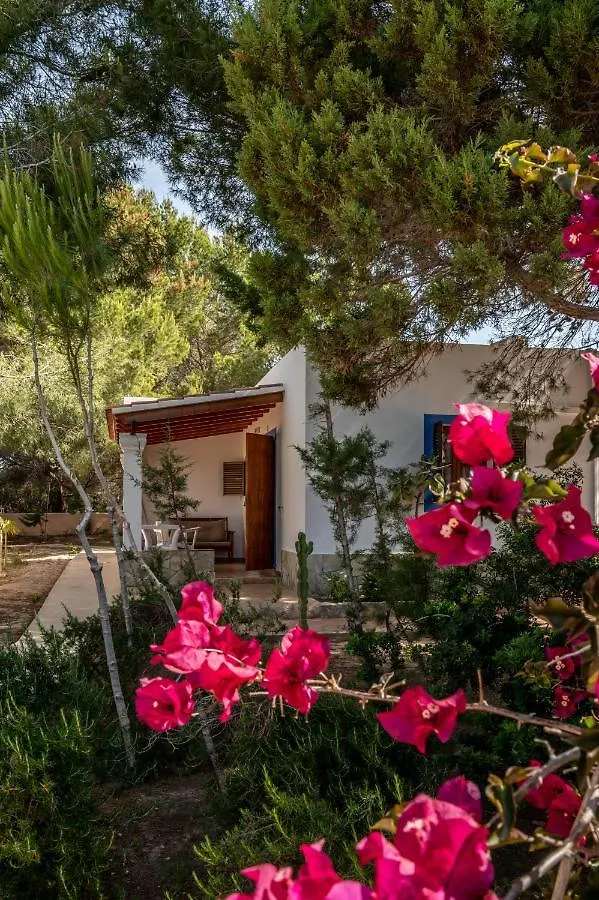 Apartment Aguamar - Emar Hotels Playa Migjorn